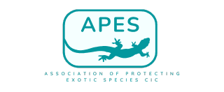 APES CIC Logo